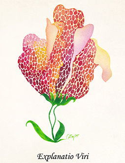 Peinture aquarelle Herbier de la Sorciere Libre fleur 10 CatMat 2025