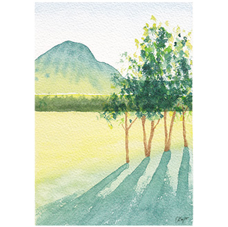 lumiere du matin en Toscane aquarelle paysage Italie inspiration Tribulations de Marie vert jaune
