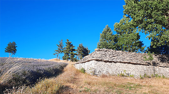 Bergerie de pierre seche Jas Bouscarle Plateau de Redortiers Alpes de Haute Provence Photo CatMat 