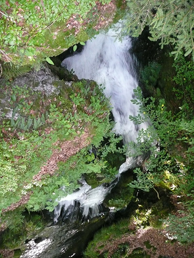 Photo CatMat torrent Auvergne