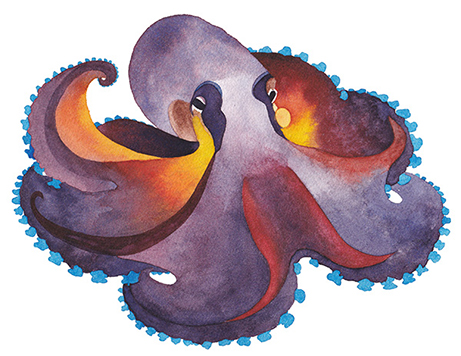 Aquarelle Poulpe pieuvre Octopus CatMat