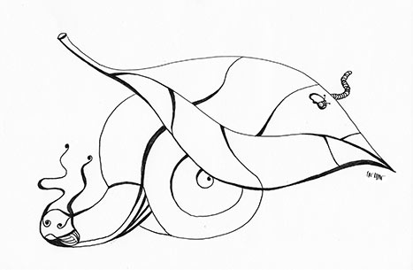 Dessin encre escargot et feuille