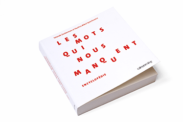 Livre Les mots qui nous manquent de Yolande Zuaberman et Paulina Mikol Spiechowicz, Ed Calmann Levy